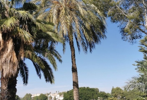 Wiederverkauf - Wohnung - Orihuela Costa - Costa Blanca