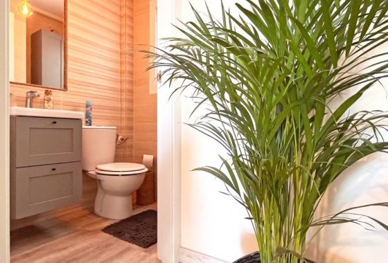 Wiederverkauf - Stadthaus - Torrevieja - Costa Blanca