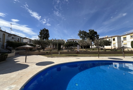 Resale - Apartment / flat - San Miguel de Salinas - Inland