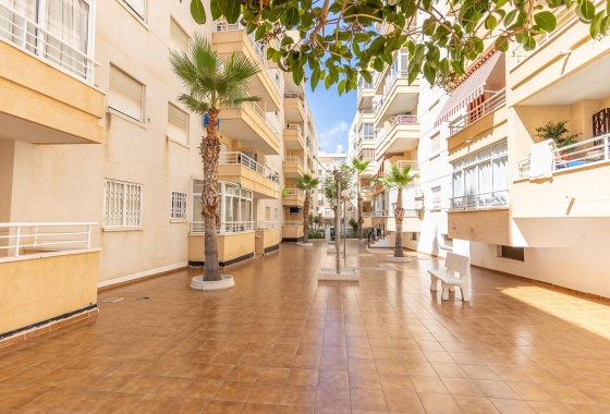 Resale - Apartment / flat - Torrevieja - Estacion De Autobuses