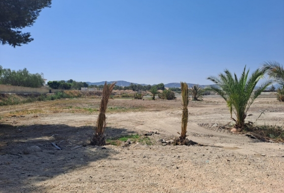 Resale - Finca - Orihuela - Inland