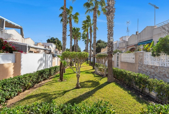 Herverkoop - Appartement / flat - Torrevieja - Lago Jardin