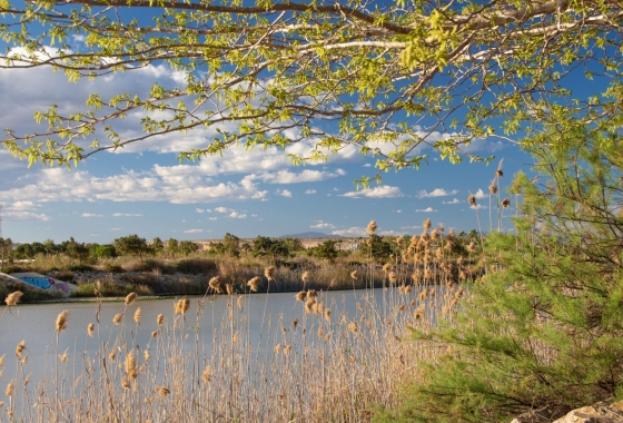 Новостройка - Бунгало - Guardamar del Segura - Guardamar Del Segura