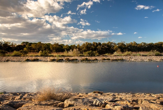 Новостройка - Бунгало - Guardamar del Segura - Guardamar Del Segura