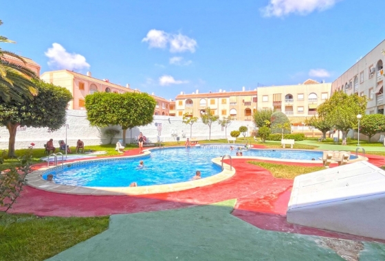 Wiederverkauf - Wohnung - Torrevieja - Costa Blanca