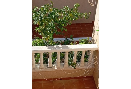 Wiederverkauf - Bungalow - Orihuela Costa - Pau 26