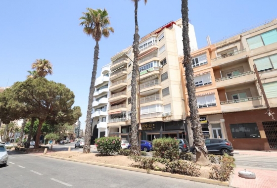 Wiederverkauf - Wohnung - Torrevieja - Costa Blanca