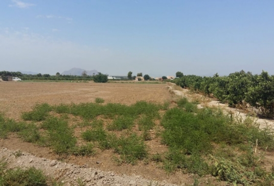 Wiederverkauf - Finca - Daya Nueva - Costa Blanca