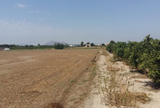 Wiederverkauf - Finca - Daya Nueva - Costa Blanca