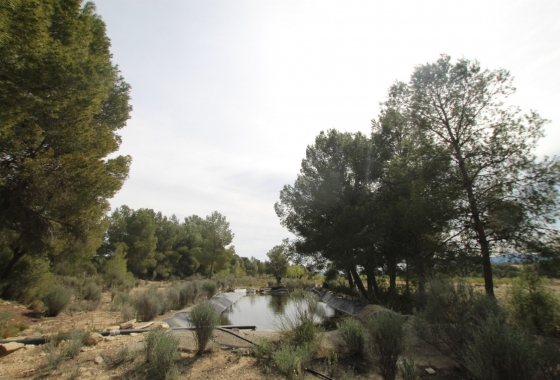 Herverkoop - Finca - Monóvar/Monóver - Inland