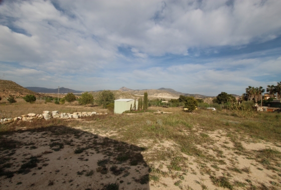 Herverkoop - Finca - Monóvar/Monóver - Inland