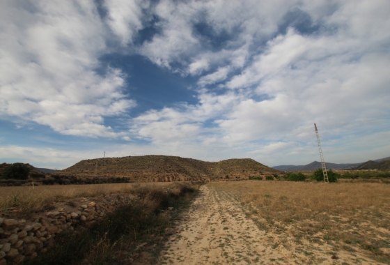 Herverkoop - Finca - Monóvar/Monóver - Inland