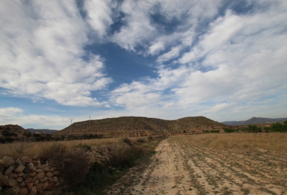 Herverkoop - Finca - Monóvar/Monóver - Inland