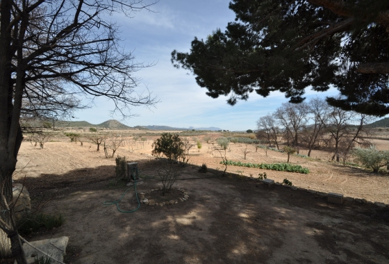 Resale - Finca - Monóvar/Monóver - Inland