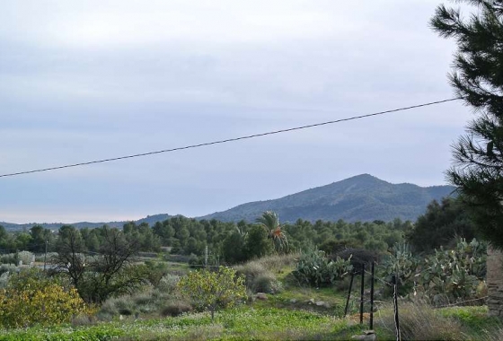 Resale - Finca - Monóvar/Monóver - Inland