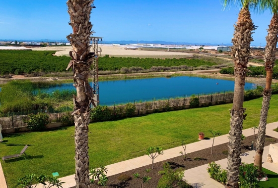 Wiederverkauf - Penthouse - Pilar de la Horadada - Costa Blanca