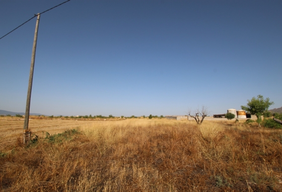 Wiederverkauf - Finca - Torre Del Rico - Inland