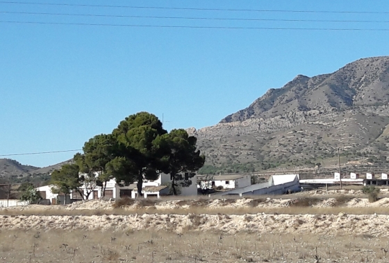 Wiederverkauf - Finca - Torre Del Rico - Inland