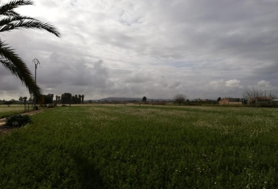 Wiederverkauf - Finca - Callosa de Segura - Costa Blanca