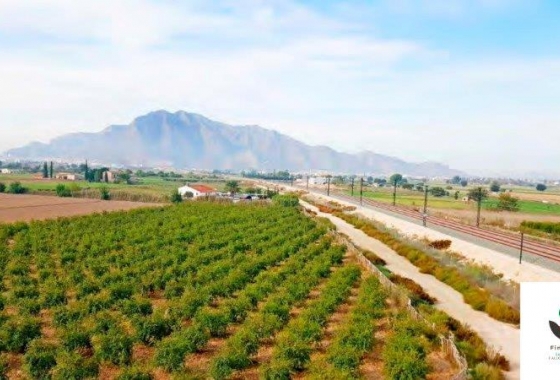 Herverkoop - Finca - Callosa de Segura - Inland