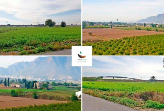 Herverkoop - Finca - Callosa de Segura - Inland