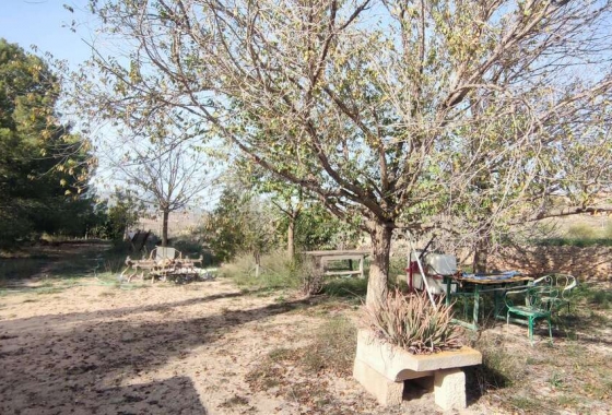 Wiederverkauf - Finca - Pinoso - Inland