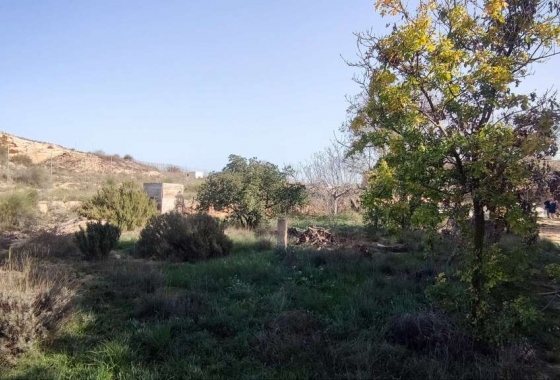 Wiederverkauf - Finca - Pinoso - Inland