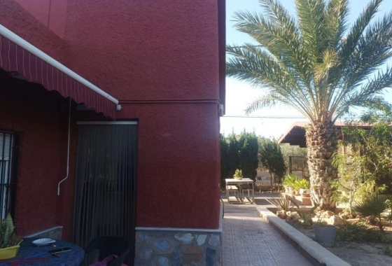 Wiederverkauf - Villa - Elche - Costa Blanca