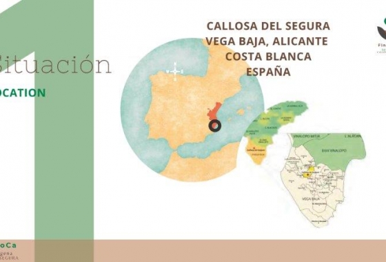 Revente - Finca - Callosa de Segura - Callosa De Segura