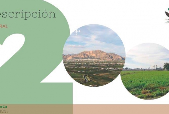 Revente - Finca - Callosa de Segura - Callosa De Segura