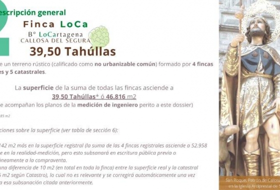 Revente - Finca - Callosa de Segura - Callosa De Segura