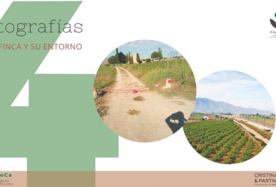 Revente - Finca - Callosa de Segura - Callosa De Segura