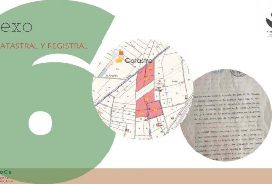 Revente - Finca - Callosa de Segura - Callosa De Segura