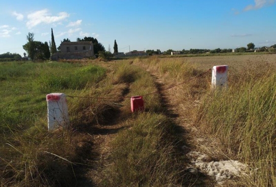 Revente - Finca - Callosa de Segura - Callosa De Segura
