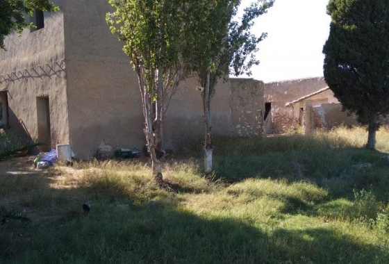 Revente - Finca - Callosa de Segura - Callosa De Segura