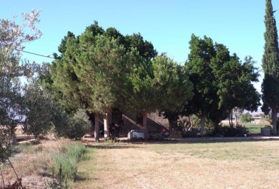 Revente - Finca - Callosa de Segura - Callosa De Segura