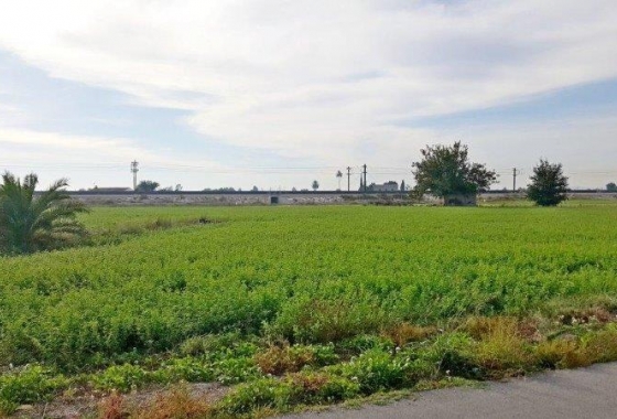 Revente - Finca - Callosa de Segura - Callosa De Segura