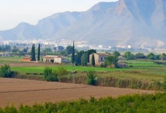 Revente - Finca - Callosa de Segura - Callosa De Segura