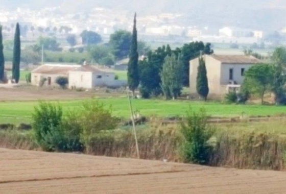Revente - Finca - Callosa de Segura - Callosa De Segura
