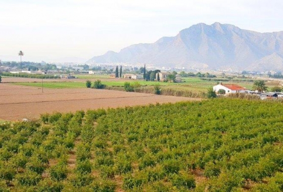 Revente - Finca - Callosa de Segura - Callosa De Segura