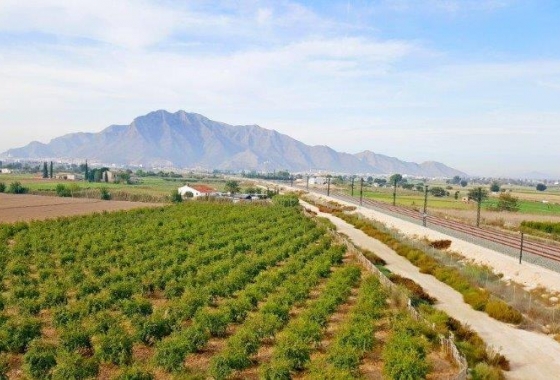 Revente - Finca - Callosa de Segura - Callosa De Segura