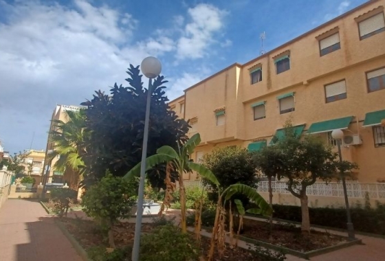 Herverkoop - Bungalow - Torrevieja - Costa Blanca