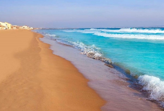 Obra nueva - Villa - San Fulgencio - Urb. La Marina