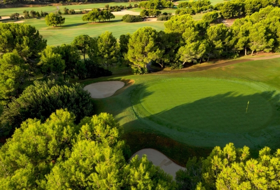 Nieuwbouw Woningen - Villa - Pilar de la Horadada - Lo Romero Golf