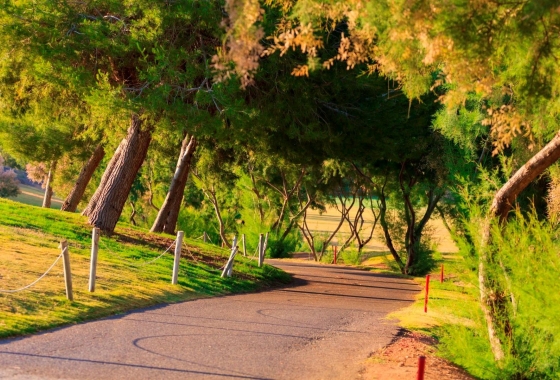 Nieuwbouw Woningen - Villa - Pilar de la Horadada - Lo Romero Golf