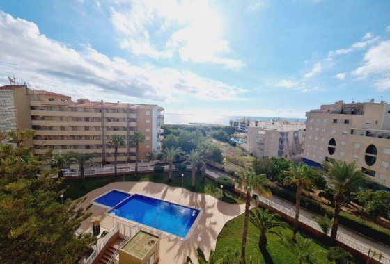 Resale - Apartment / flat - La Mata