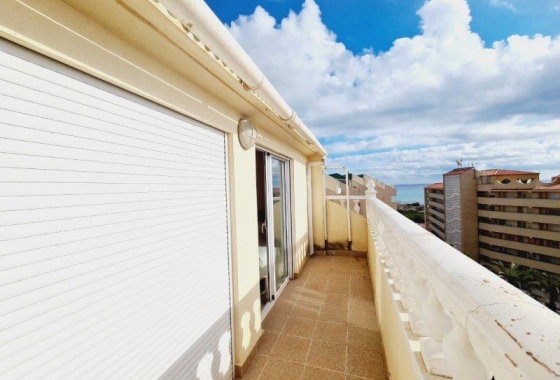 Resale - Apartment / flat - La Mata