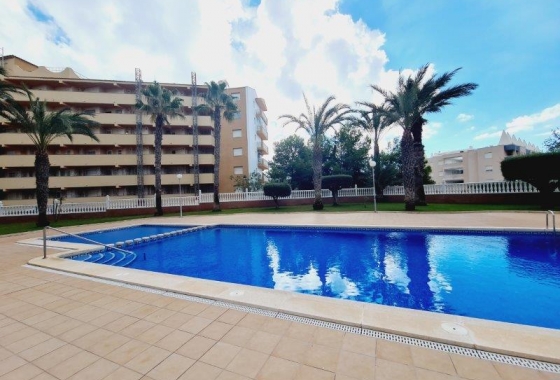 Resale - Apartment / flat - La Mata