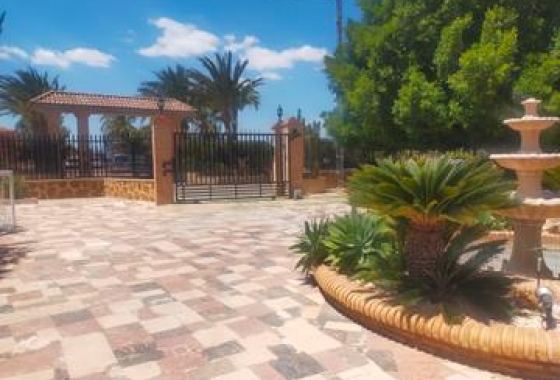 Herverkoop - Villa - Elche - Costa Blanca