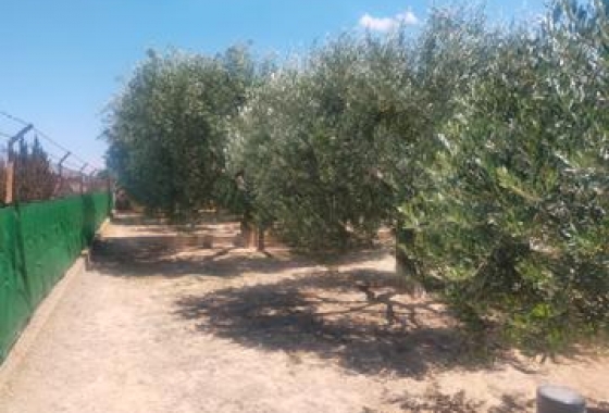 Herverkoop - Villa - Elche - Costa Blanca